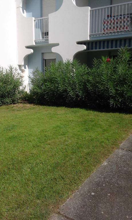 T3 Les Peupliers Proche Pasino Et Mer Apartment ลา กร็องเดอ-ม็อต ภายนอก รูปภาพ